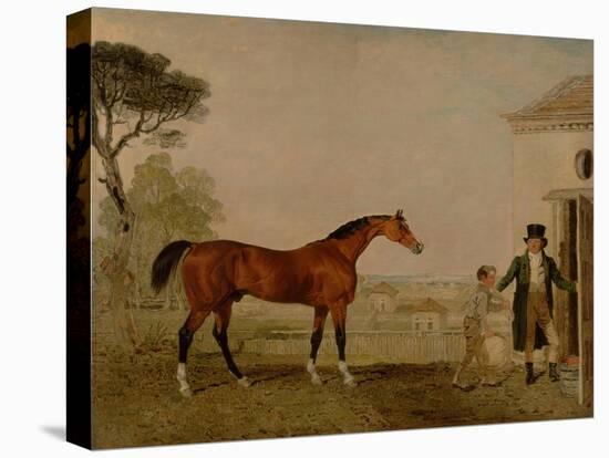 Sultan' at the Marquess of Exeter's Stud, Burghley, 1826-Lambert Marshall-Stretched Canvas