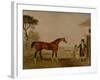 Sultan' at the Marquess of Exeter's Stud, Burghley, 1826-Lambert Marshall-Framed Giclee Print