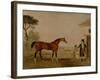 Sultan' at the Marquess of Exeter's Stud, Burghley, 1826-Lambert Marshall-Framed Giclee Print