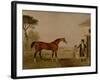 Sultan' at the Marquess of Exeter's Stud, Burghley, 1826-Lambert Marshall-Framed Giclee Print