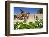 Sultan Bin Zayed Fort, Now the Al-Ain Museum, Al Ain, Abu Dhabi, United Arab Emirates, Middle East-Frank Fell-Framed Photographic Print