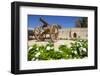 Sultan Bin Zayed Fort, Now the Al-Ain Museum, Al Ain, Abu Dhabi, United Arab Emirates, Middle East-Frank Fell-Framed Photographic Print