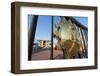 Sultan Qaboos Palace, Muscat, Oman, Middle East-Sergio Pitamitz-Framed Photographic Print