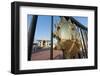 Sultan Qaboos Palace, Muscat, Oman, Middle East-Sergio Pitamitz-Framed Photographic Print