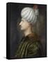 Sultan Suleiman I the Magnificent-Titian (Tiziano Vecelli)-Framed Stretched Canvas