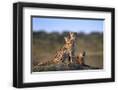 Chelsea Black