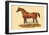 Sultan-L. Penicaut-Framed Art Print