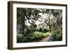 Sultry Garden II-Alan Hausenflock-Framed Photographic Print