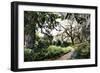 Sultry Garden II-Alan Hausenflock-Framed Photographic Print