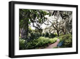 Sultry Garden II-Alan Hausenflock-Framed Photographic Print