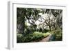 Sultry Garden II-Alan Hausenflock-Framed Photographic Print