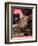 Sumatra, an 11-Month-Old Champion Toyger, February 23, 2007-Roe Ethridge-Framed Photographic Print