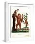 Sumatran Orang-Outang-null-Framed Giclee Print