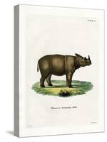 Sumatran Rhinoceros-null-Stretched Canvas