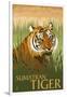 Sumatran Tiger - Lithograph Series-Lantern Press-Framed Art Print