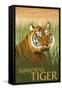 Sumatran Tiger - Lithograph Series-Lantern Press-Framed Stretched Canvas