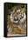Sumatran Tiger Up Close-Lantern Press-Framed Stretched Canvas