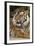 Sumatran Tiger Up Close-Lantern Press-Framed Art Print