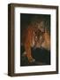 Sumatran Tiger Walking on Log-DLILLC-Framed Photographic Print