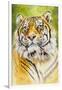 Sumatran Tiger-Barbara Keith-Framed Giclee Print