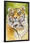 Sumatran Tiger-Barbara Keith-Framed Giclee Print