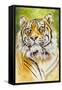 Sumatran Tiger-Barbara Keith-Framed Stretched Canvas