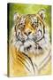 Sumatran Tiger-Barbara Keith-Stretched Canvas