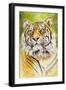 Sumatran Tiger-Barbara Keith-Framed Giclee Print