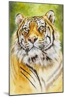 Sumatran Tiger-Barbara Keith-Mounted Giclee Print