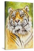 Sumatran Tiger-Barbara Keith-Stretched Canvas