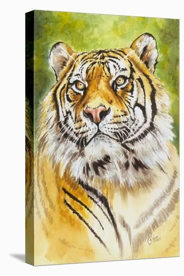 Sumatran Tiger-Barbara Keith-Stretched Canvas