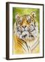 Sumatran Tiger-Barbara Keith-Framed Giclee Print