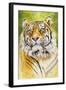 Sumatran Tiger-Barbara Keith-Framed Giclee Print