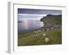 Sumba, Picturesque Village on South-West Tip of Suduroy Island, and Sheep, Suduroy Island-Patrick Dieudonne-Framed Photographic Print
