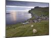 Sumba, Picturesque Village on South-West Tip of Suduroy Island, and Sheep, Suduroy Island-Patrick Dieudonne-Mounted Photographic Print