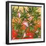 Sumer Time 2-Mark Ashkenazi-Framed Giclee Print