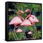 Sumer Time 4-Mark Ashkenazi-Framed Stretched Canvas