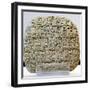 Sumerian Contract Written in Pre-Cuneiform Script-null-Framed Photographic Print