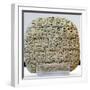 Sumerian Contract Written in Pre-Cuneiform Script-null-Framed Photographic Print