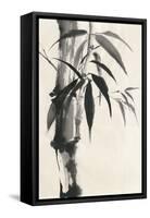 Sumi Bamboo Cream-Chris Paschke-Framed Stretched Canvas