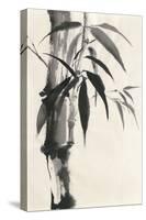 Sumi Bamboo Cream-Chris Paschke-Stretched Canvas