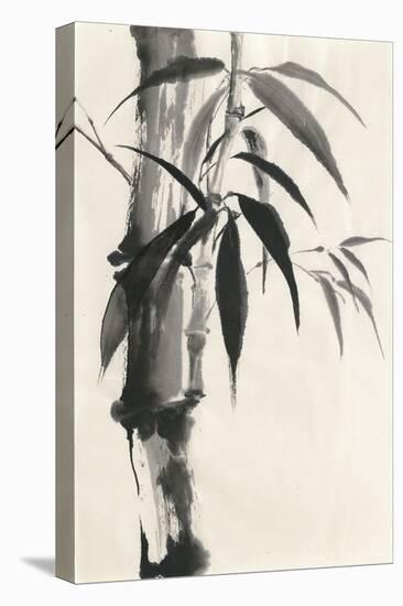 Sumi Bamboo Cream-Chris Paschke-Stretched Canvas