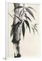 Sumi Bamboo Cream-Chris Paschke-Framed Art Print