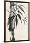 Sumi Bamboo Cream-Chris Paschke-Framed Art Print