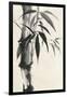 Sumi Bamboo Cream-Chris Paschke-Framed Art Print