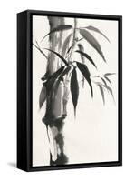 Sumi Bamboo-Chris Paschke-Framed Stretched Canvas