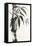 Sumi Bamboo-Chris Paschke-Framed Stretched Canvas