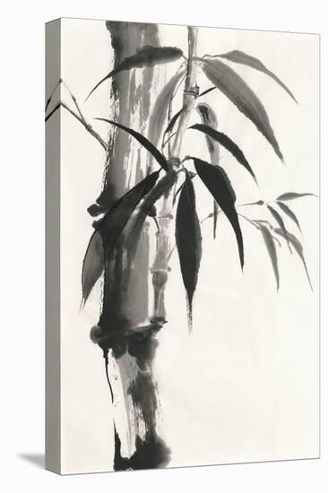Sumi Bamboo-Chris Paschke-Stretched Canvas
