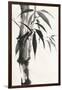 Sumi Bamboo-Chris Paschke-Framed Art Print