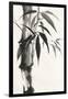 Sumi Bamboo-Chris Paschke-Framed Art Print